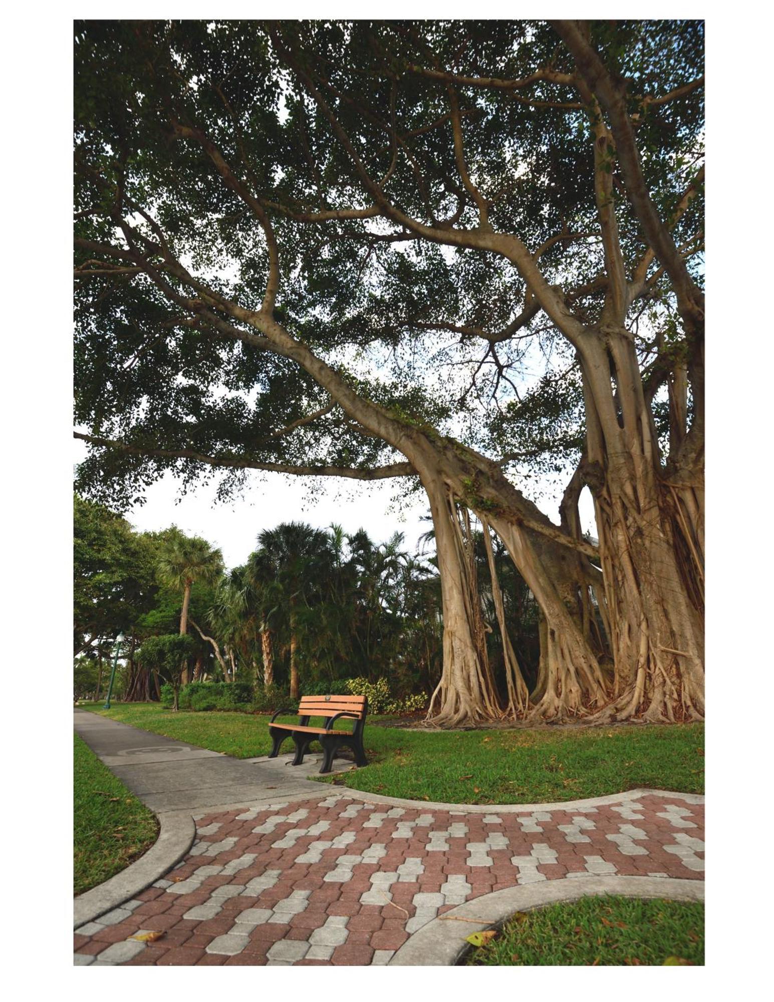 Dog Friendly Condo With Beach Access, Hot Tub, Firepit West Palm Beach Kültér fotó